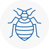 Bed Bug Extermination In Nottinghamshire